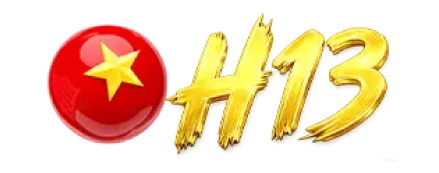h13pro.com
